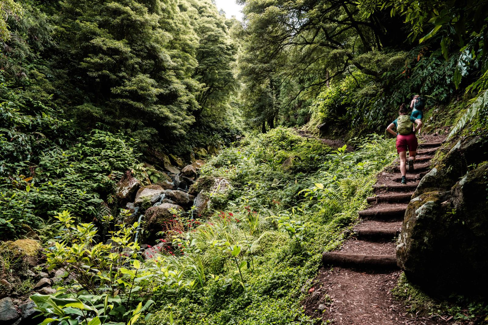 wandelaars op bospad langs beek tijdens hike naar Salto do Prego waterval op São Miguel, Azoren