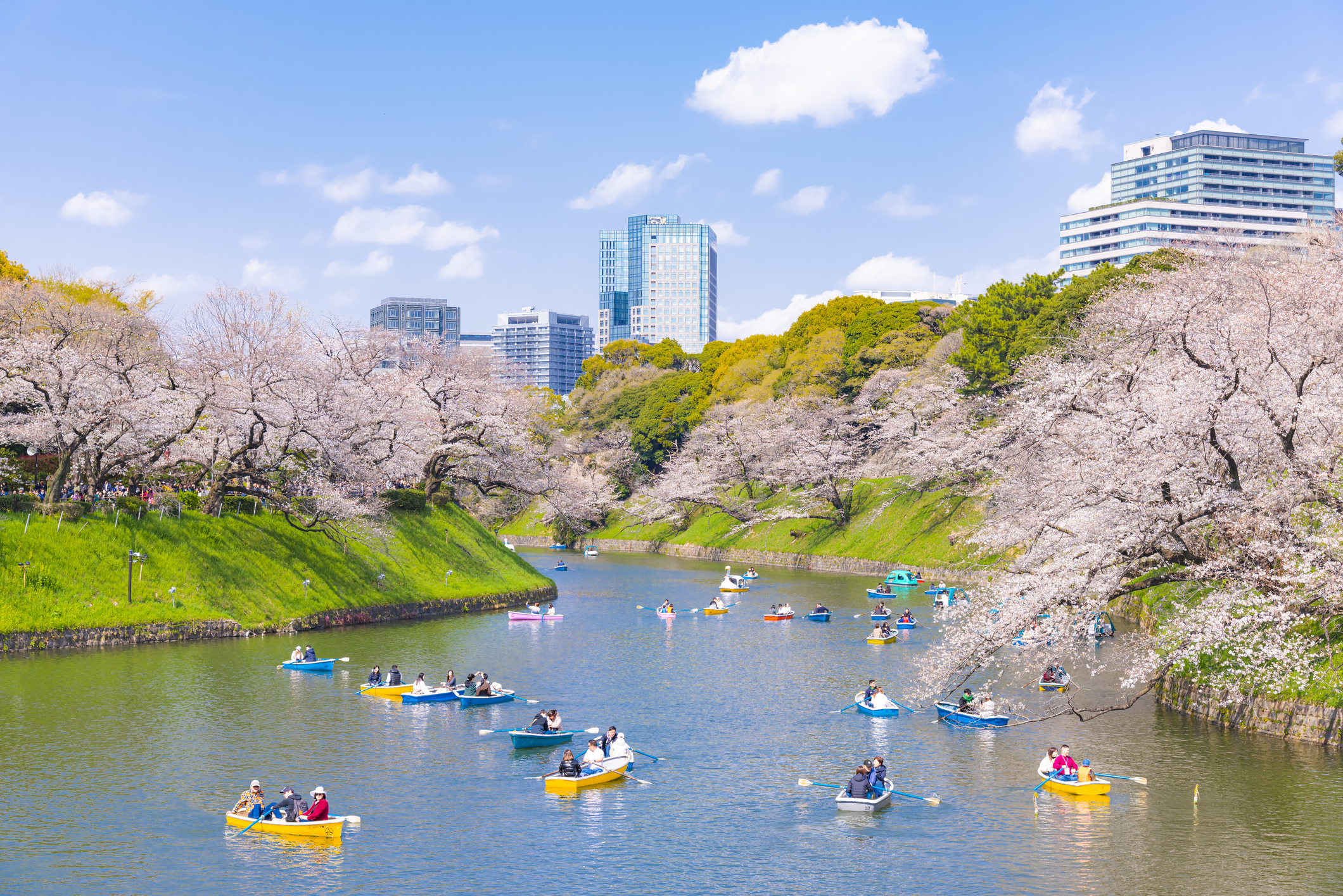 Het Japanse Tokio verbreekt de hardnekkige mythe dat megasteden per definitie ongezond zijn. Ondanks de enorme bevolkingsdichtheid scoort de stad extreem hoog door een unieke combinatie van factoren. 