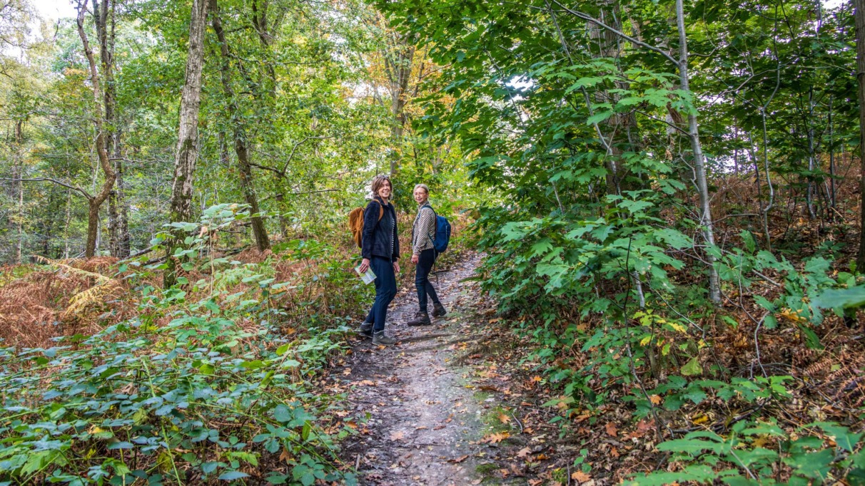Twee vrouwen met wandelschoenen en rugzakken lopen over een smal bospad tussen groene varens.