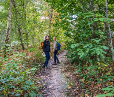 Twee vrouwen met wandelschoenen en rugzakken lopen over een smal bospad tussen groene varens.
