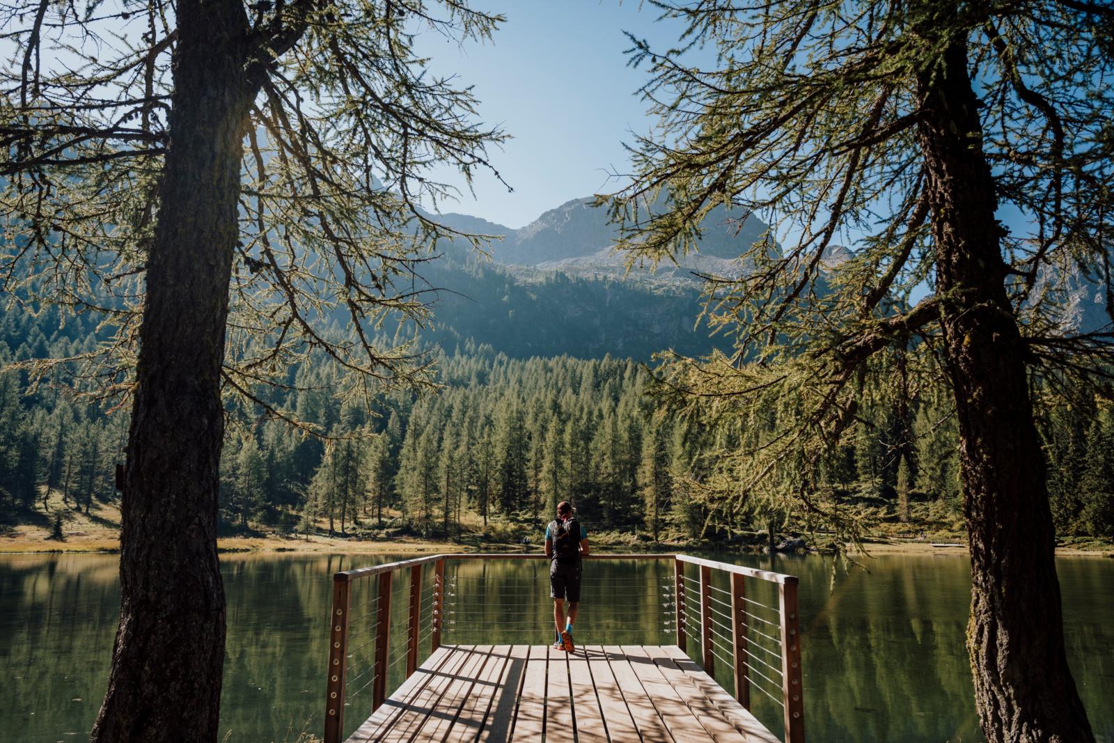 wandelaar op houten steiger bij bergmeer omringd door dennenbos en bergen in Trentino