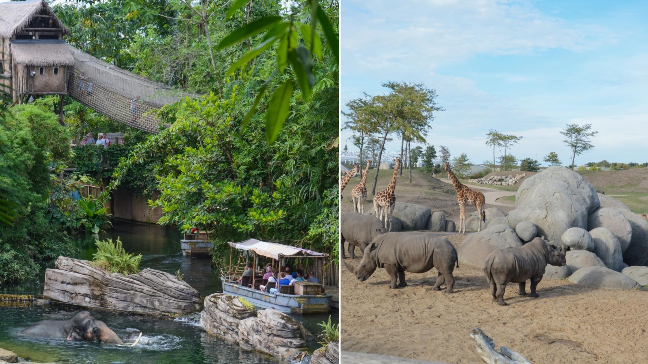 Een collage van twee foto's van WILDLANDS: links een bootje op een junglerivier met een zwemmende olifant, rechts een savannelandschap met breedlipneushoorns en giraffen bij grote rotsen.