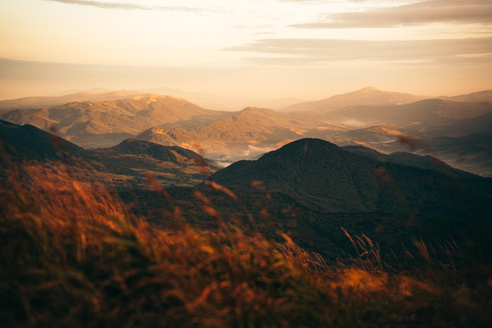 Een weids uitzicht over de beboste bergen van Bieszczady tijdens het gouden uur, met nevel in de dalen en wuivend gras op de voorgrond.