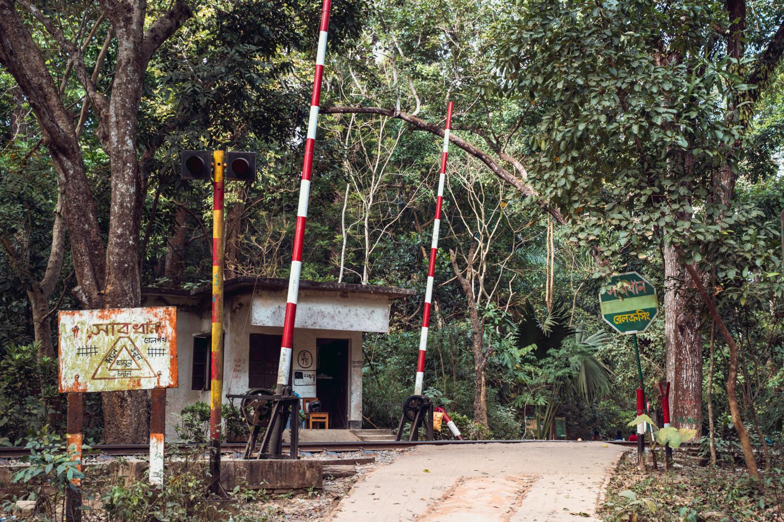 spoorwegovergang midden in het regenwoud van Lawachara National Park in Bangladesh