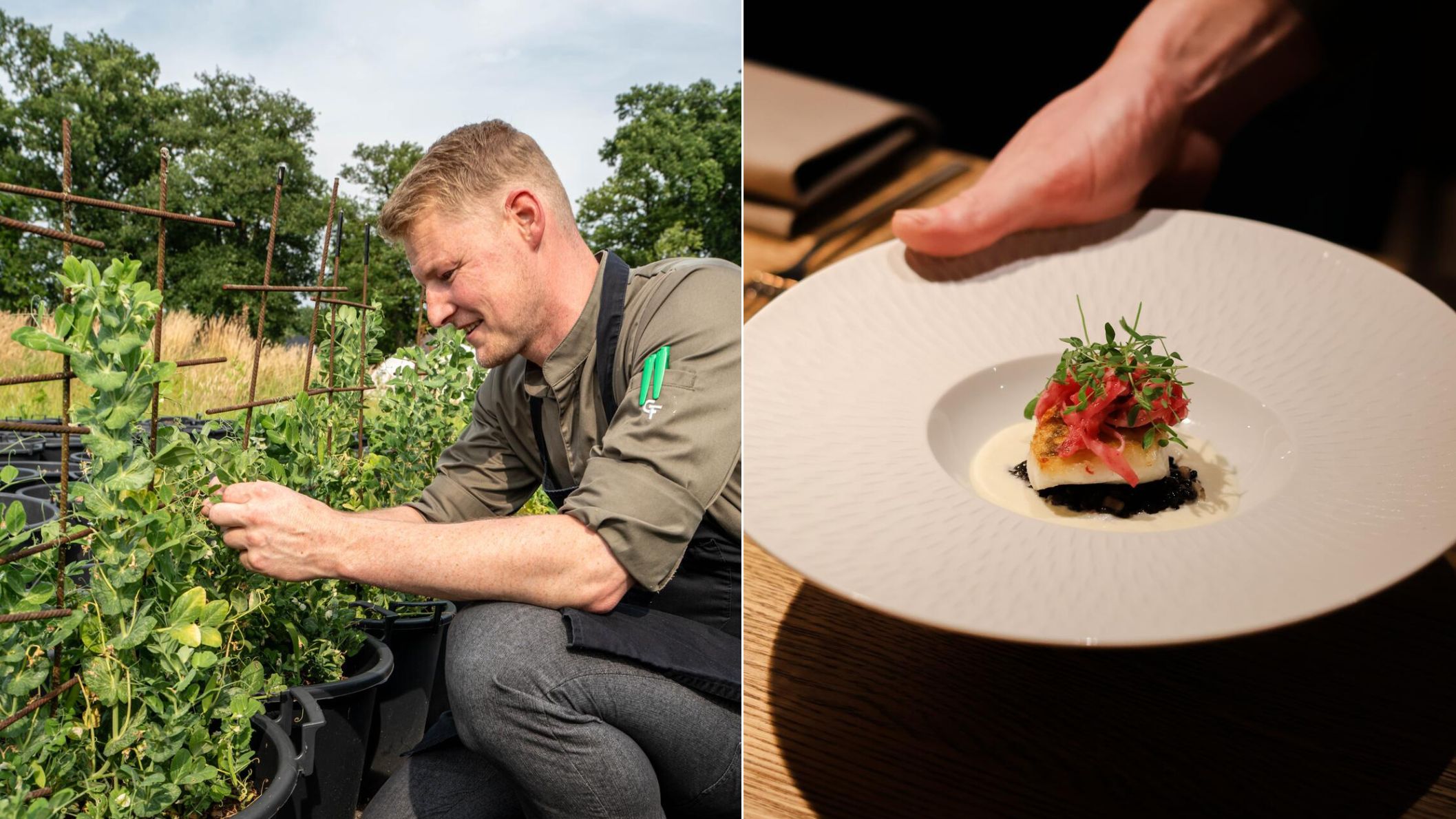 Tweeluik van een chef die oogst in de moestuin en een verfijnd geserveerd gerecht bij Eet circulair in een vormaling klooster. Het Seminar in Zenderen.