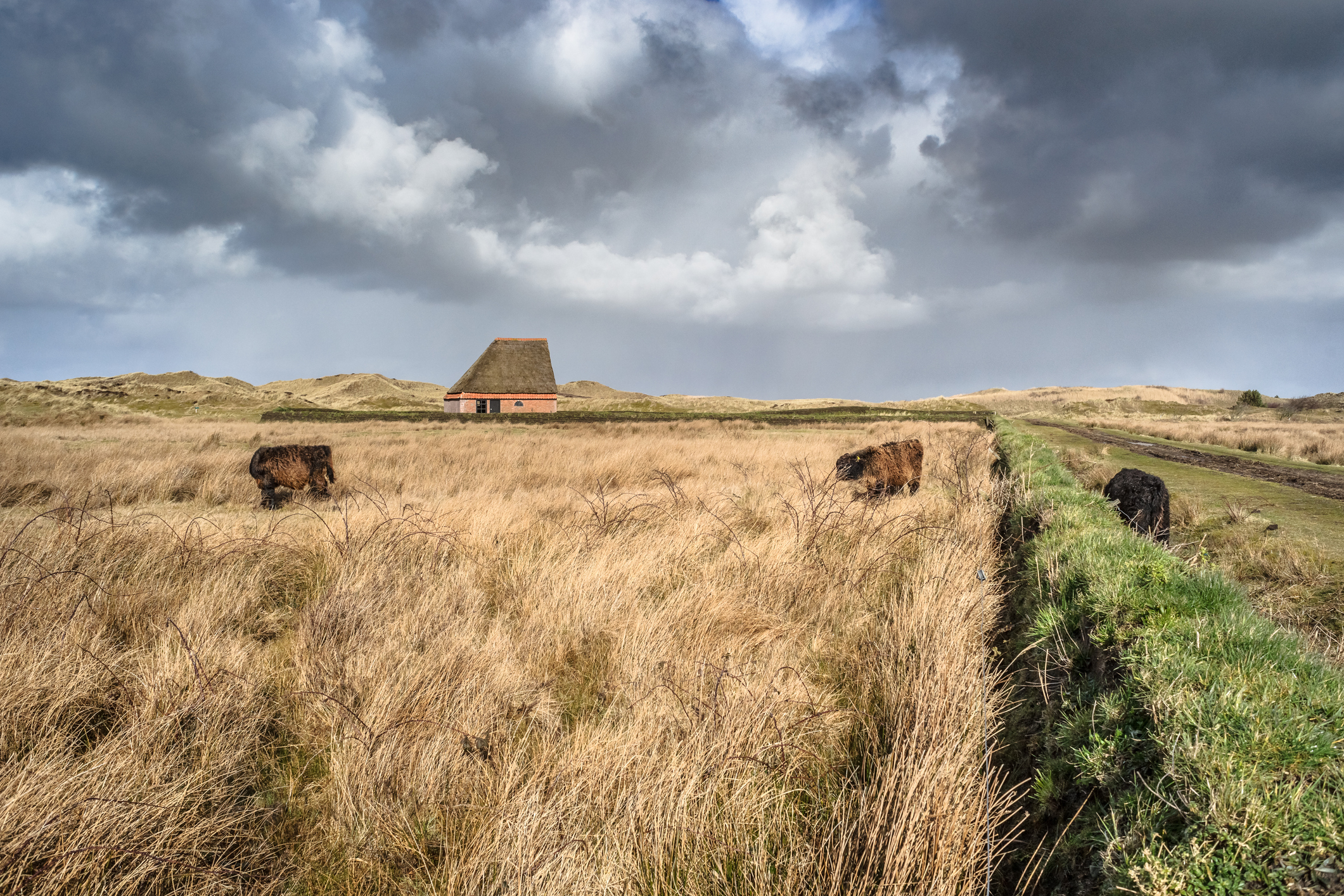 Een historische schapenboet in het glooiende landschap van de Hoge Berg op Texel.