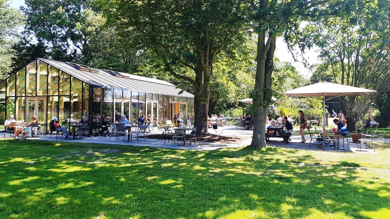 Greens in het Westbroekpark: biologisch uit eigen moestuin in hartje Den Haag.
