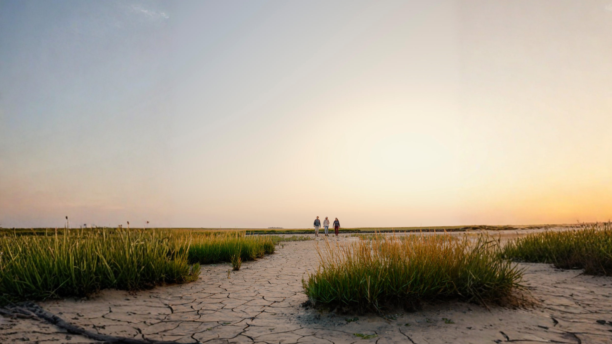 Drie wandelaars op een uitgestrekte, drooggevallen kwelder onder een zachte avondzon.