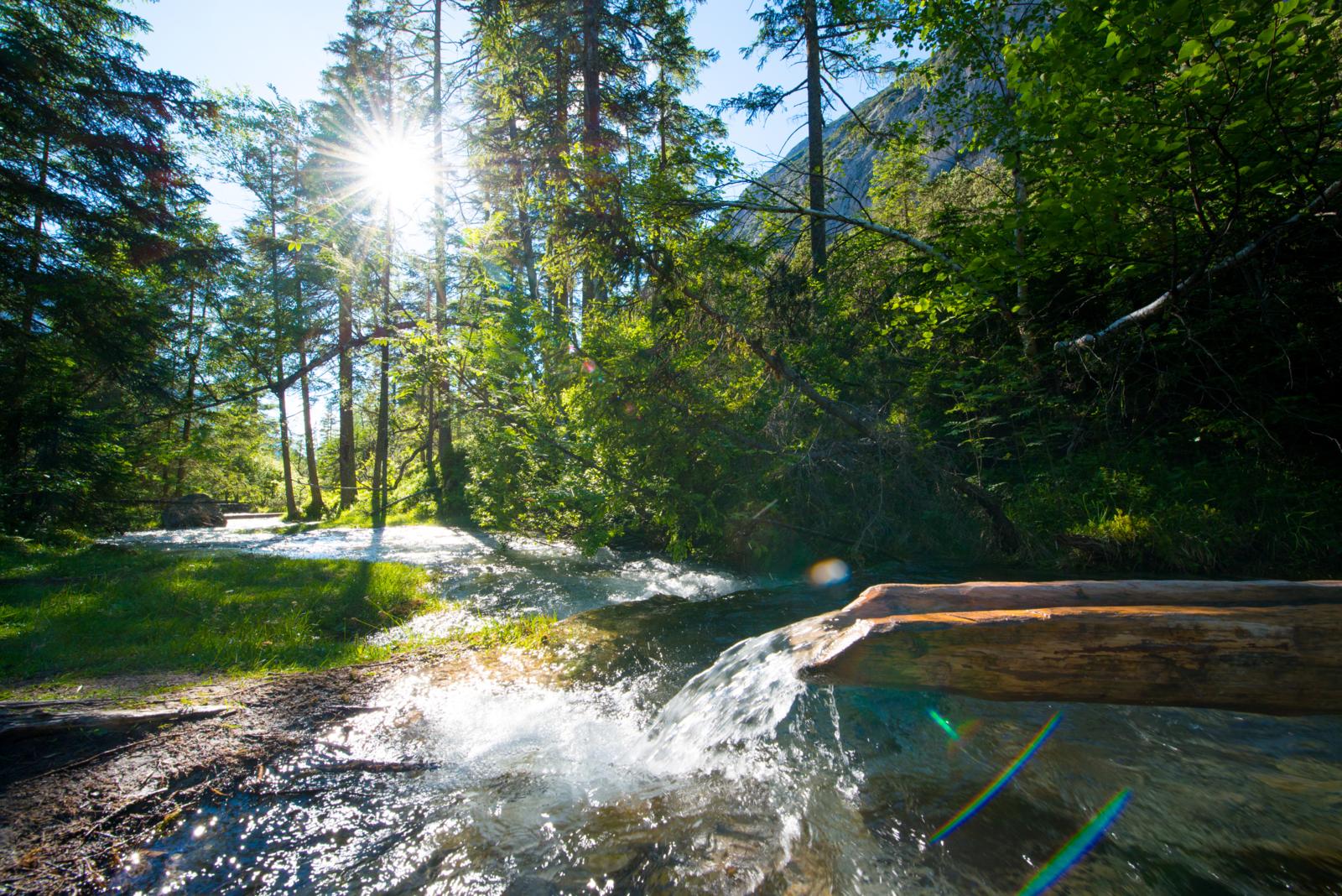 Zonlicht schijnt door de bomen op een kletterende waterval uit een houten goot in de Gleirschklamm nabij Seefeld.