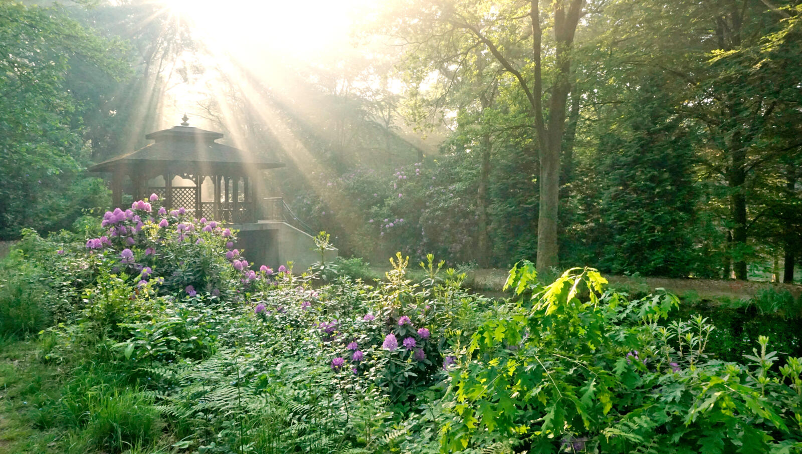 het MERU Bospark in Vlodrop is voor iedereen vrij toegankelijk om in harmonie met de natuur te wandelen.