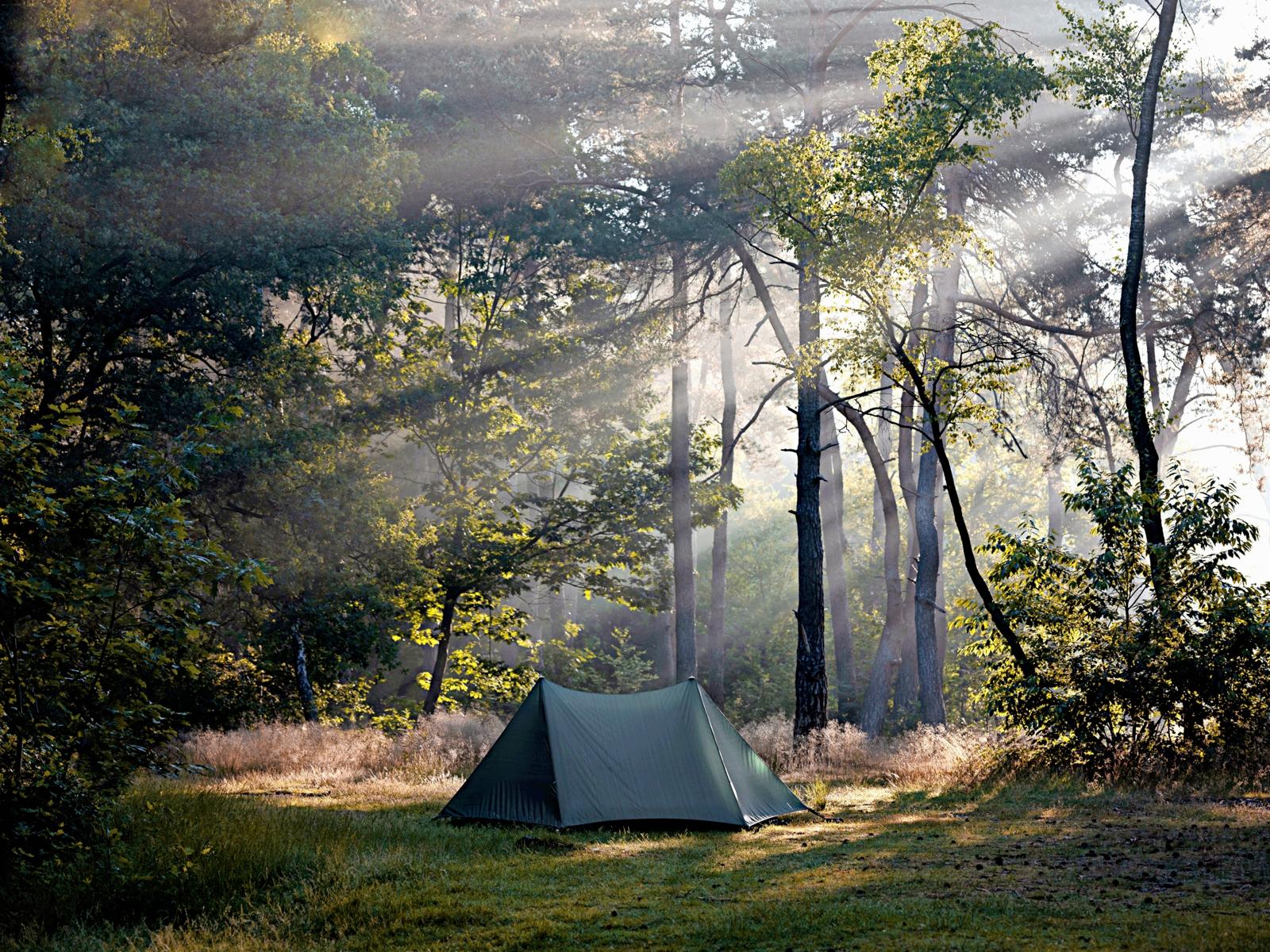 Een groene tent op een bosparkje terwijl zonnestralen door de ochtendmist en de bomen van de Veluwe schijnen.