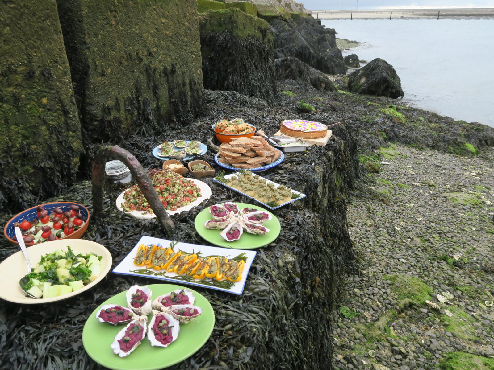 Diverse kleurrijke gerechten met zeewier en oesters gepresenteerd op met wier bedekte rotsen aan de Zeeuwse kust.