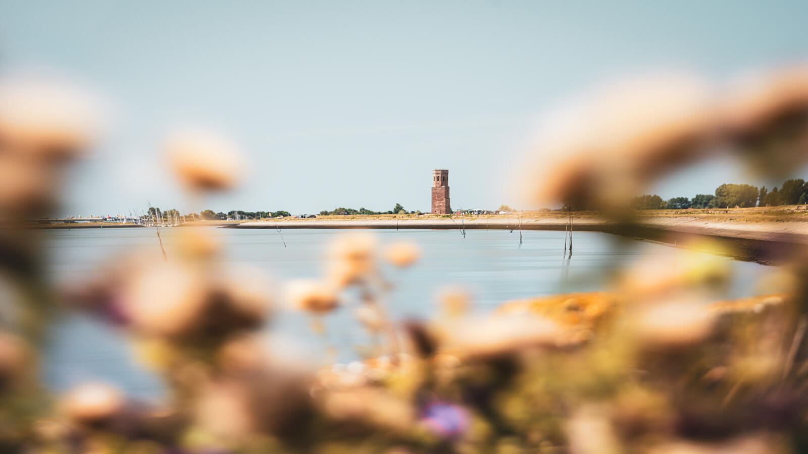 Uitzicht over de Oosterschelde op de historische Plompe Toren in Zeeland achter een waas van bloemen.