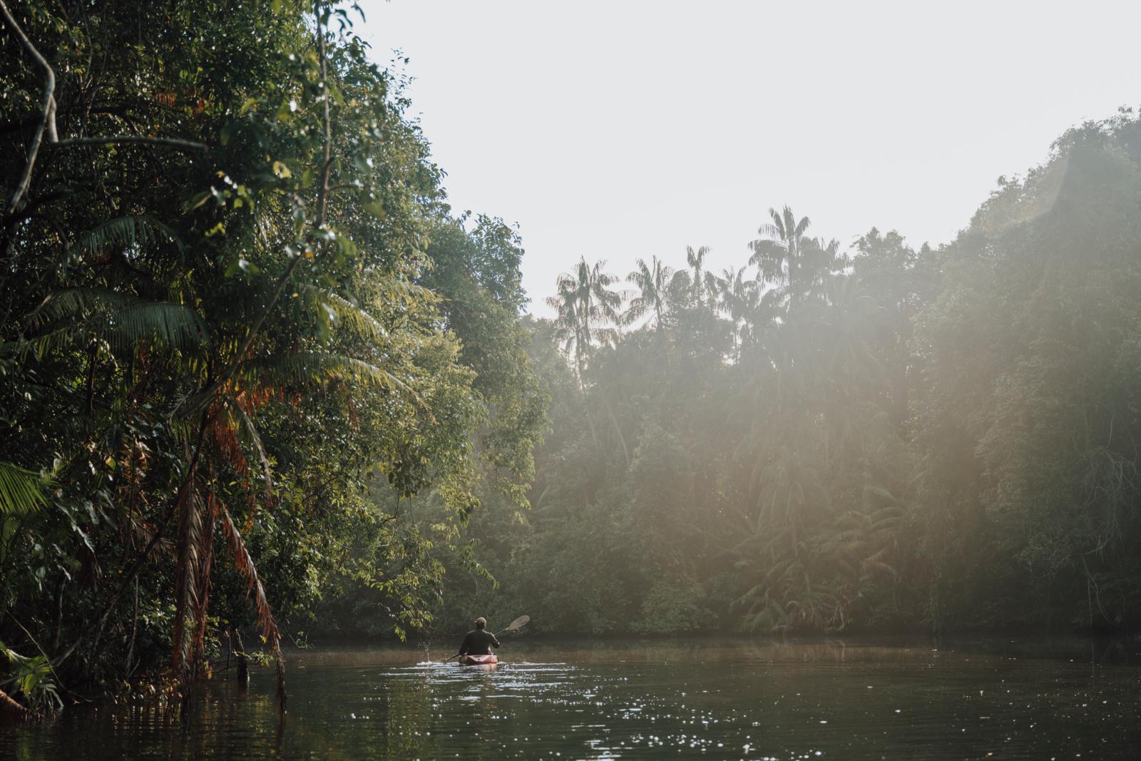 Kajakker op een rivier in het regenwoud van de Cardamom Mountains in Cambodja