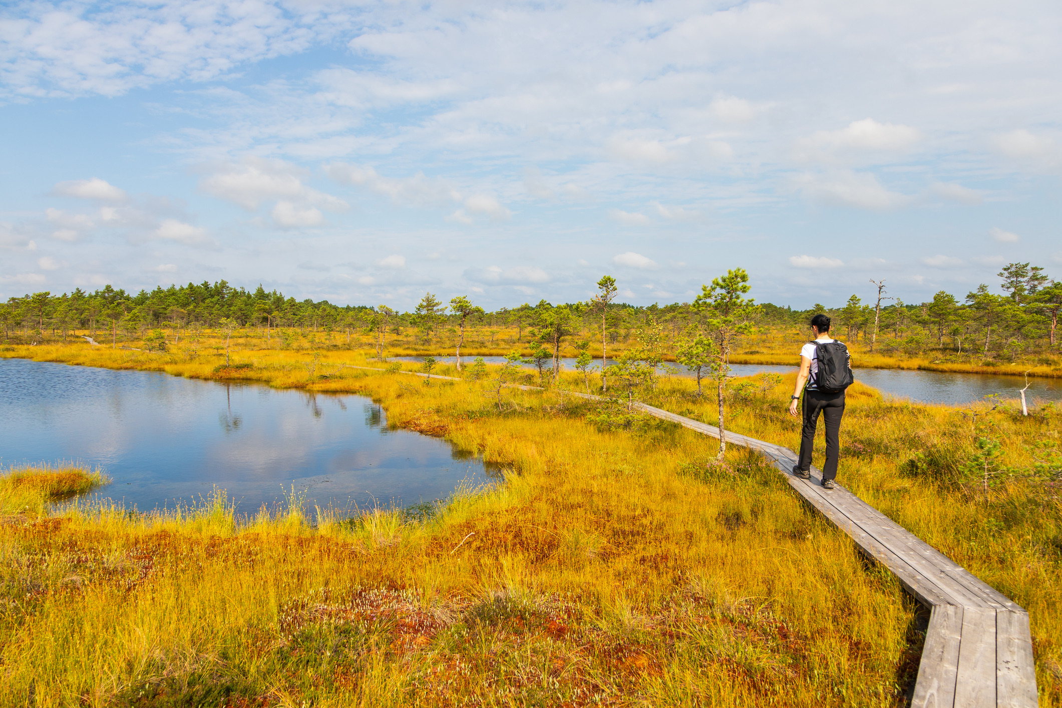 Estland trakteert reizigers in augustus op een gemiddelde temperatuur van 17 tot 18°C, uitgestrekte moerassen en een lage bevolkingsdichtheid.Onze coole tip: ga moeraswandelen in het Soomaa Nationaal Park.