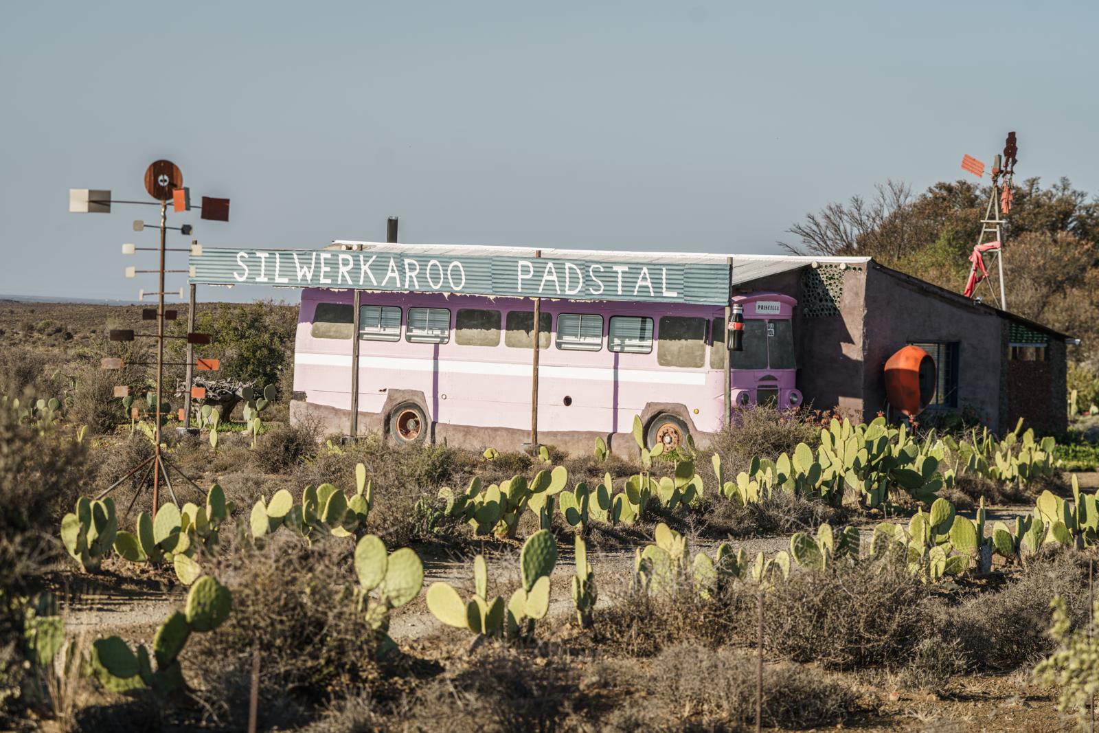 Een roze bus die dienst doet als 'Silwerkaroo Padstal' in een droog landschap vol cactussen in de Karoo, Zuid-Afrika.