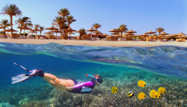 Woman snorkeling near tropical coral reef. Beach with palms and sun umbrelas on the background, Red Sea, Egypt