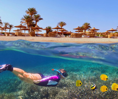 Woman snorkeling near tropical coral reef. Beach with palms and sun umbrelas on the background, Red Sea, Egypt