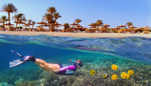 Woman snorkeling near tropical coral reef. Beach with palms and sun umbrelas on the background, Red Sea, Egypt