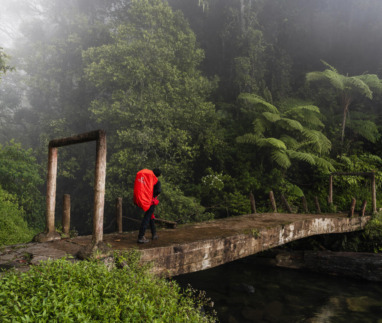 Een wandelaar met een rode backpack steekt een stenen brug over in een mistig regenwoud bij Gunung Tujuh, Kerinci, Sumatra.