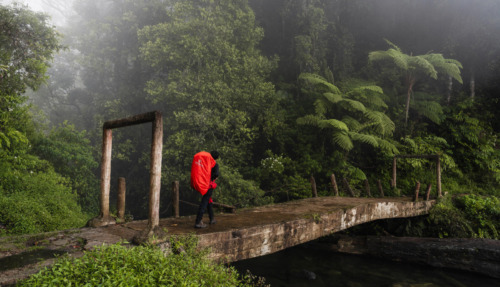 Een wandelaar met een rode backpack steekt een stenen brug over in een mistig regenwoud bij Gunung Tujuh, Kerinci, Sumatra.