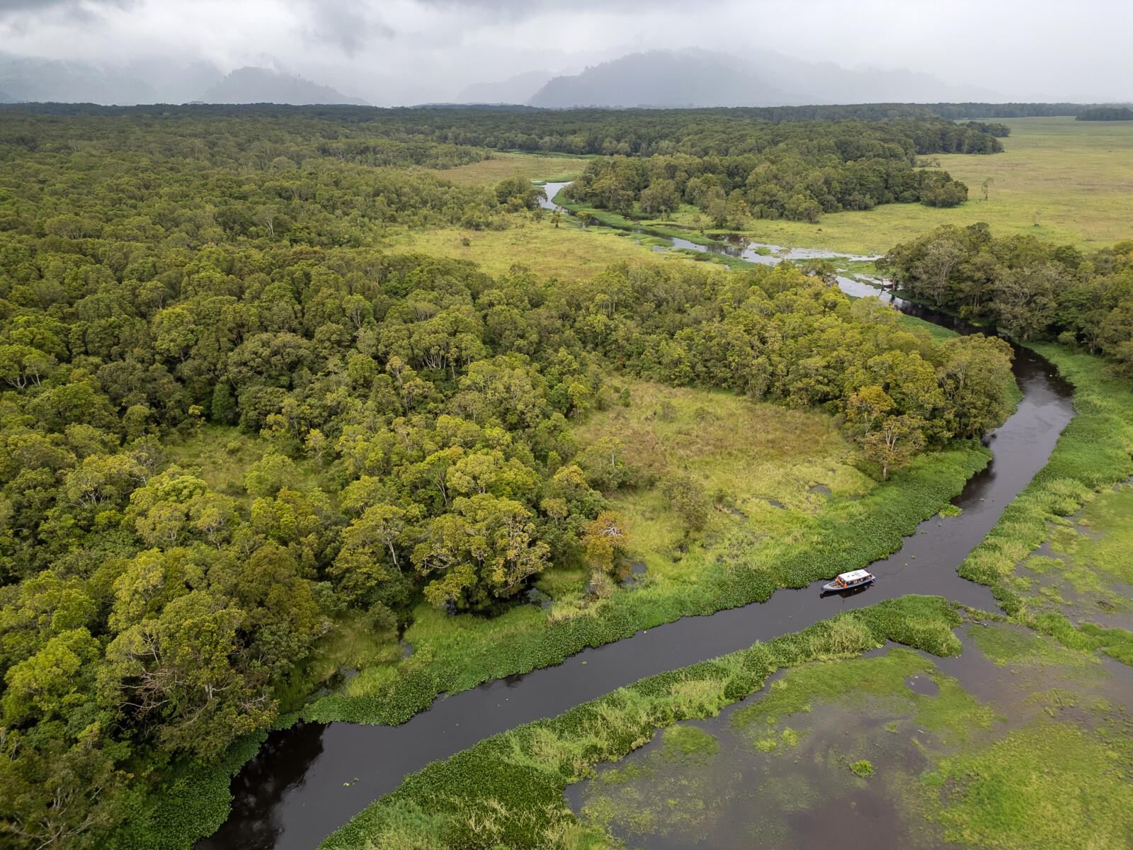 Luchtfoto van een kronkelende rivier door het groene moerasgebied van Rawa Bento op Sumatra.