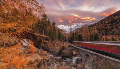 De Bernina Express rijdt langs de kleurrijke herfstbossen, Morteratsch, Engadin, kanton Graubünden, Zwitserland