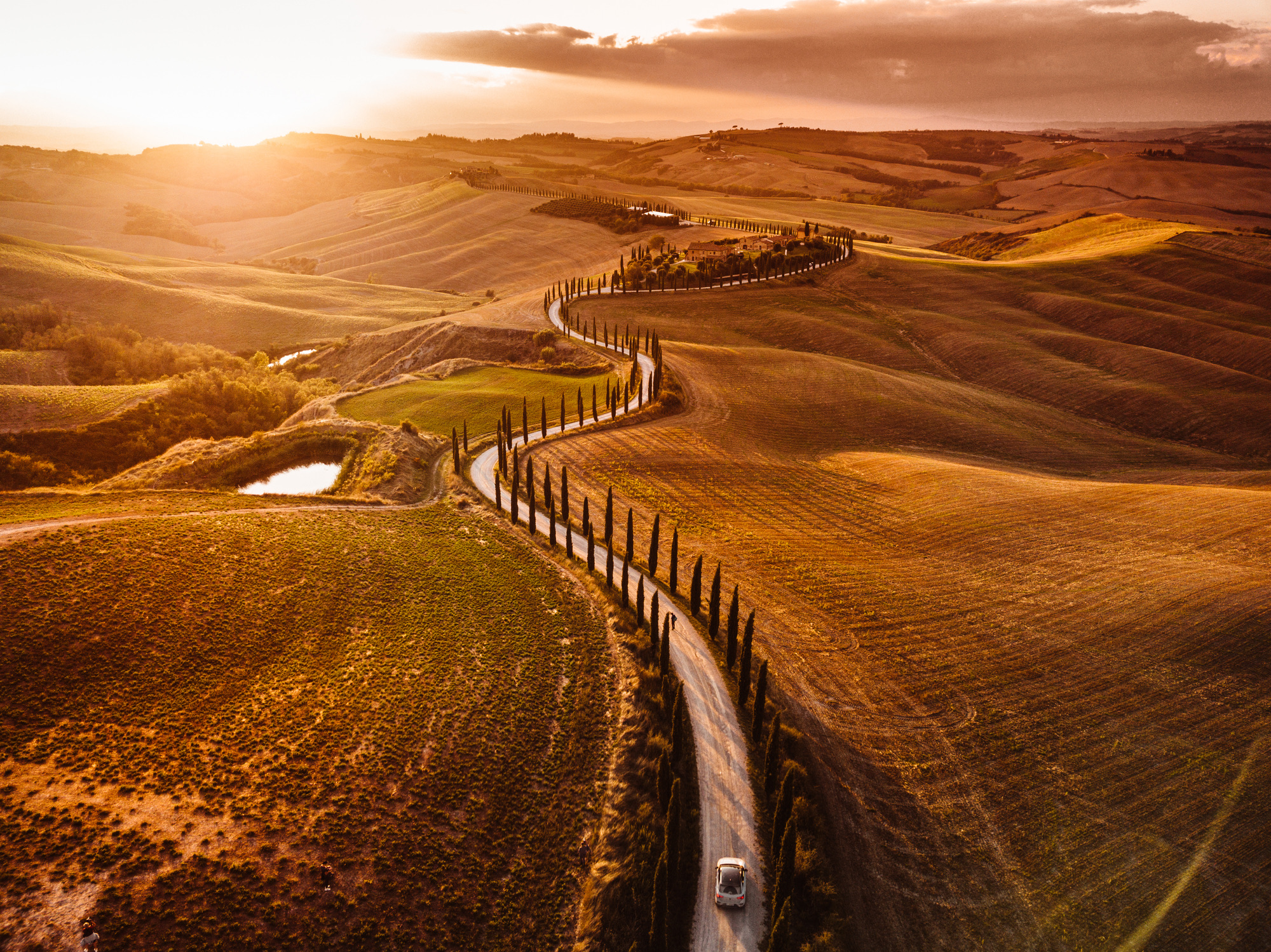Hoewel Toscane in de zomermaanden overspoeld wordt door bezoekers, keert in het najaar de rust terug in het glooiende landschap van de Val d’Orcia. De nazomerse zon maakt plaats voor een warm herfstlicht: de wijnranken op de heuvels kleuren diepkoper, de iconische cipressen steken scherp af tegen de mistige ochtendlucht en de akkers worden omgeploegd. Het najaar staat hier volledig in het teken van de oogst, van kersverse olijven en smaakvolle truffels tot de beroemde lokale wijnen.