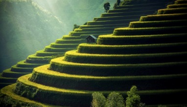 prachtige rijstterrassen in Vietnam