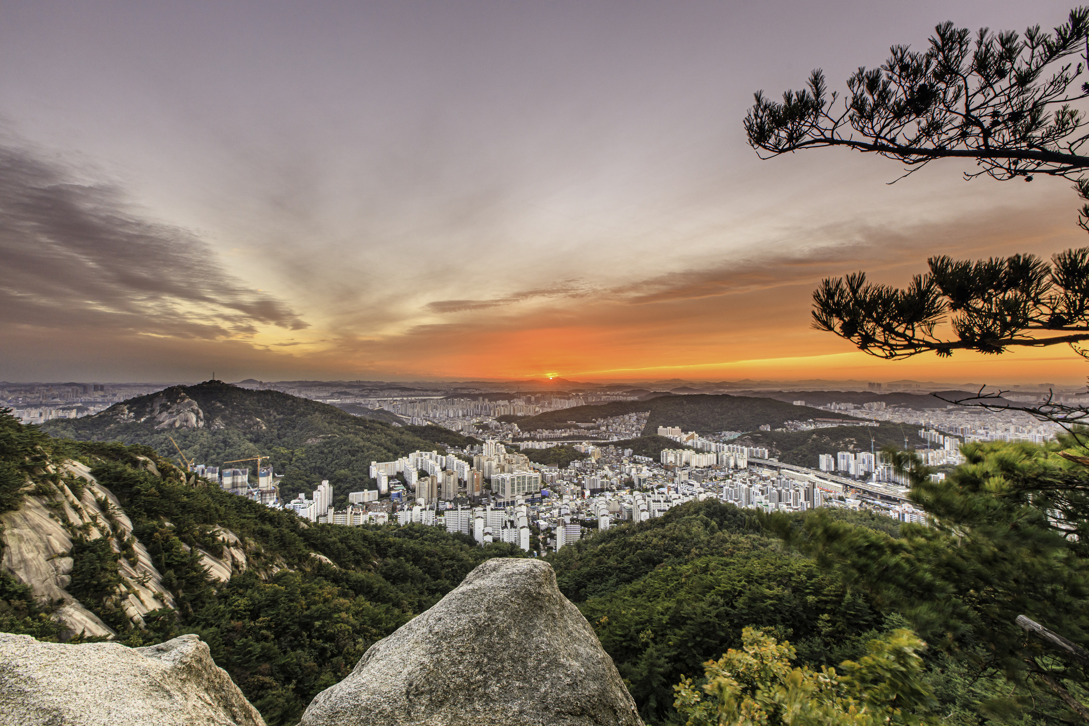 Zo reis je weg van de massa: zoek de rust op in Buam-dong, een idyllische buurt achter de bekende stadsmuur aan de voet van de Inwangsan-berg. Hier vind je geen wolkenkrabbers, maar ambachtelijke galeries, traditionele theehuizen en panoramische wandelpaden met zicht op de stad.