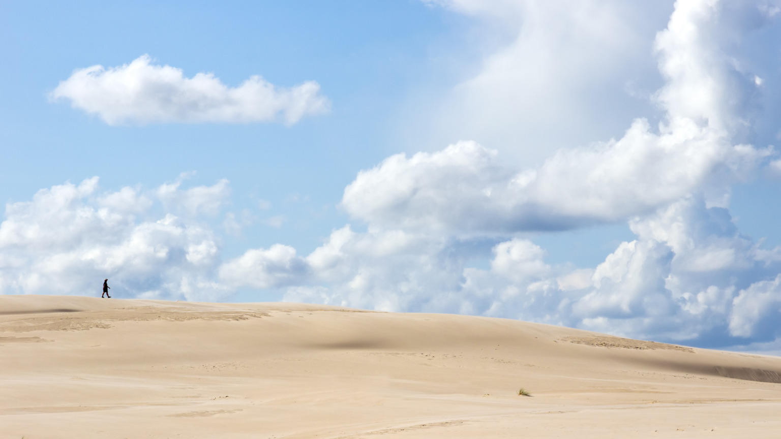 Het absolute hoogtepunt van de eerste etappe van de Wolf Trail is het Słowiński Nationaal Park, waar enorme 'wandelende duinen' door de wind constant verplaatsen en het landschap veranderen in een soort woestijn aan zee.