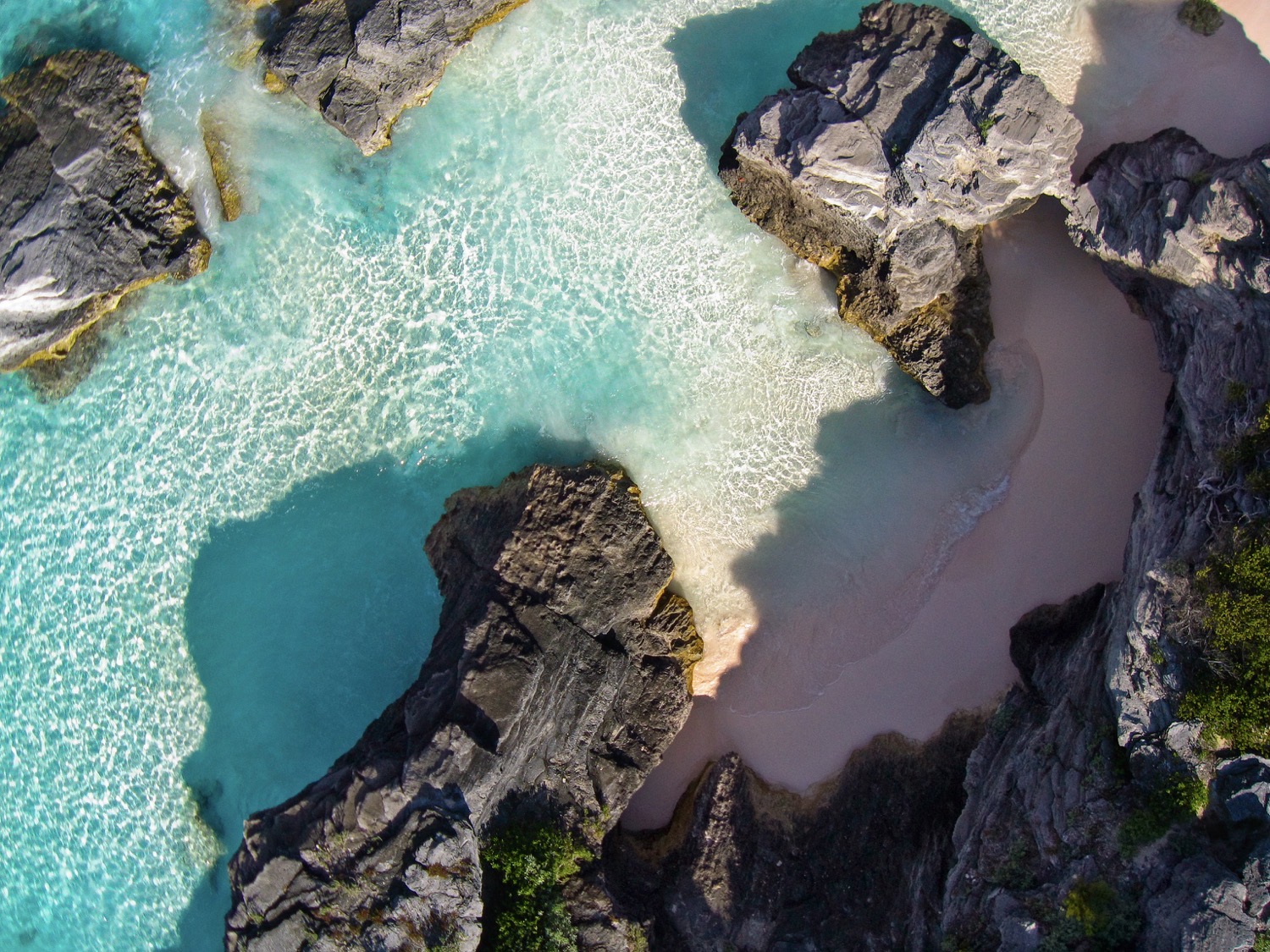 Bermuda staat bekend om haar iconische pastelkusten, maar de meeste reizigers stromen massaal samen op Horseshoe Bay. De beroemdste baai van Bermuda dankt haar hoefijzervorm en zachtroze tint aan de diepzeeriffen vlak voor de kust. De kalme branding maakt het een geliefde plek voor zowel zwemmers als fotografen.