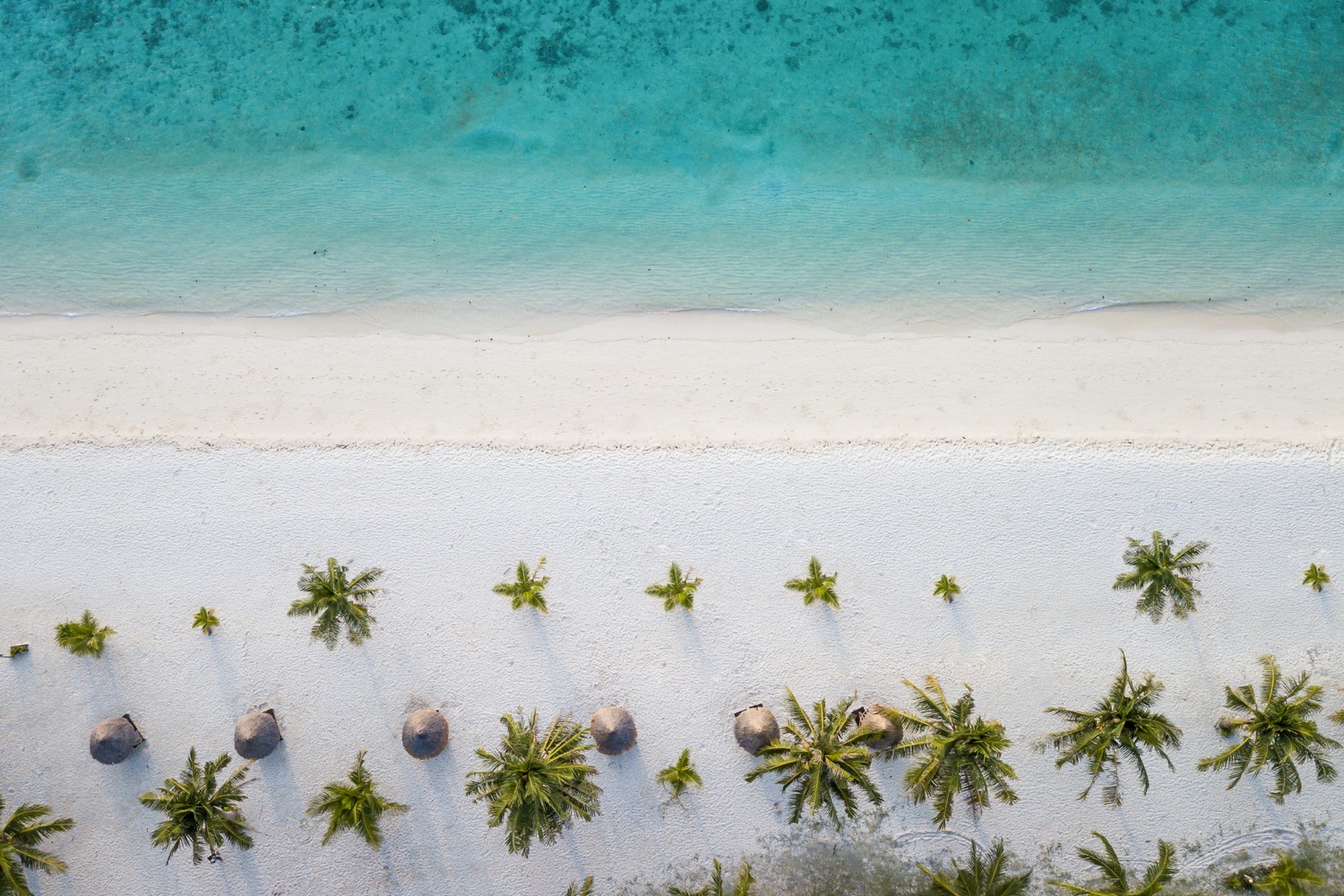 Gelegen in het uiterste zuiden van Thailand, verscholen in het Tarutao National Marine Park, ligt het piepkleine eilandje Koh Lipe. Het poederwitte zand op Sunrise Beach wordt niet heet aan de voeten en het water is zo felblauw dat het pijn doet aan je ogen.