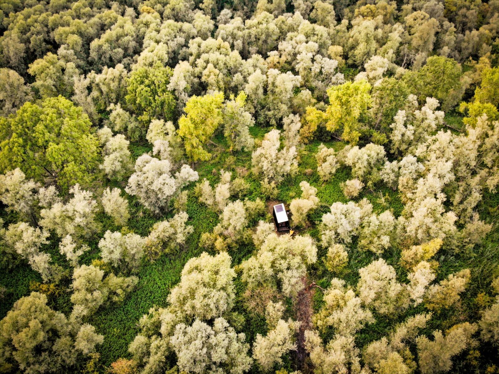 Voor een sprookjesachtige najaarservaring hoef je het land niet uit. In de herfst transformeert Nationaal Park De Biesbosch in een stil, mystiek waterdoolhof. Vroeg in de ochtend hangt er een dichte mist over de kronkelende kreken en kleuren de tientallen kilometers wilgenbossen kopergeel. Aan de rand van dit dynamische zoetwatergetijdengebied vind je bij Werkendam het Wilgenbos, een ideale uitvalsbasis voor een microavontuur in eigen land.