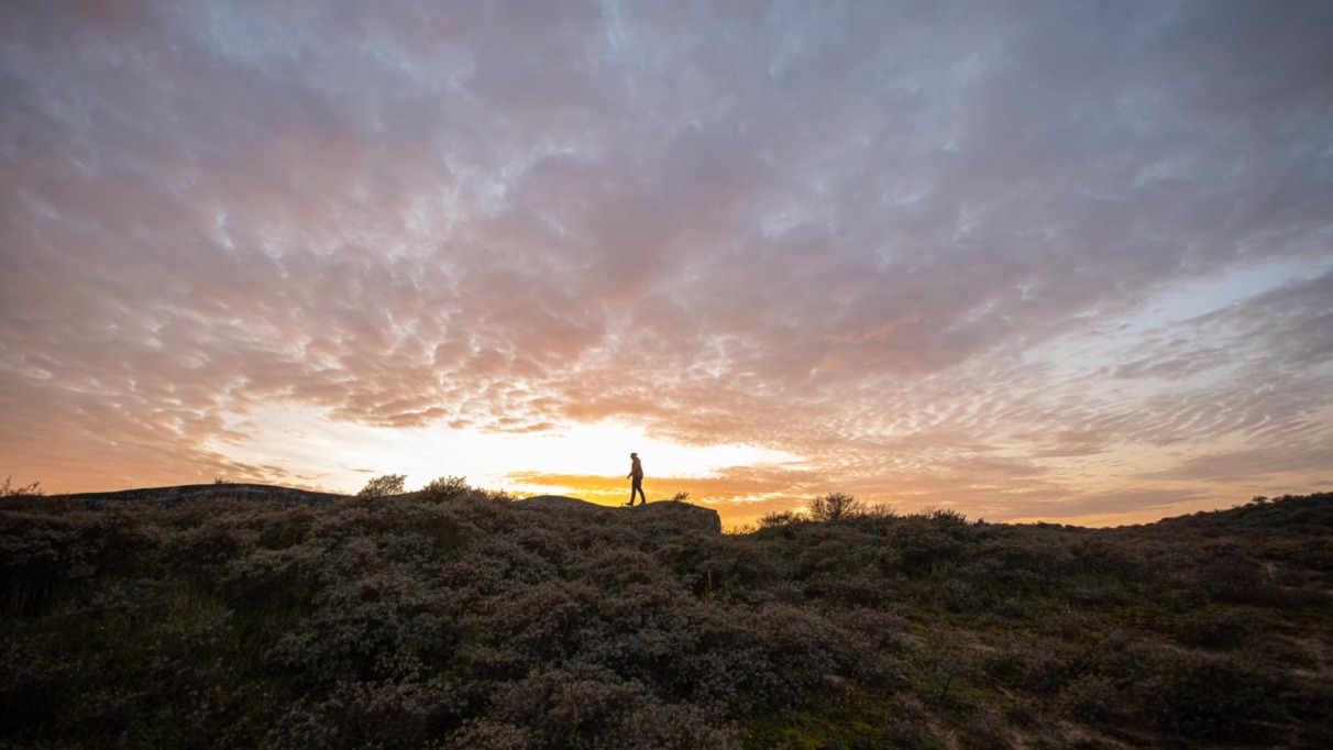 Het silhouet van een wandelaar op een duin of bunker van de Atlantikwall, met een dramatische, kleurrijke zonsondergang met oranje en paarse wolken op de achtergrond.