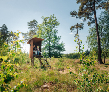 Buiten Bereik wandeling Drenthe – Drouwen (7)_preview