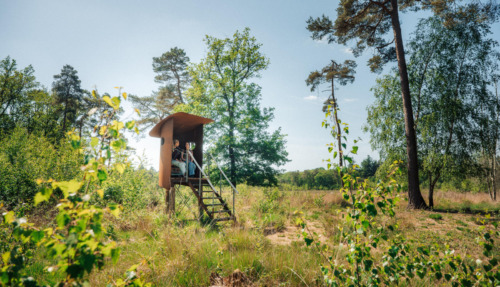 Buiten Bereik wandeling Drenthe – Drouwen (7)_preview