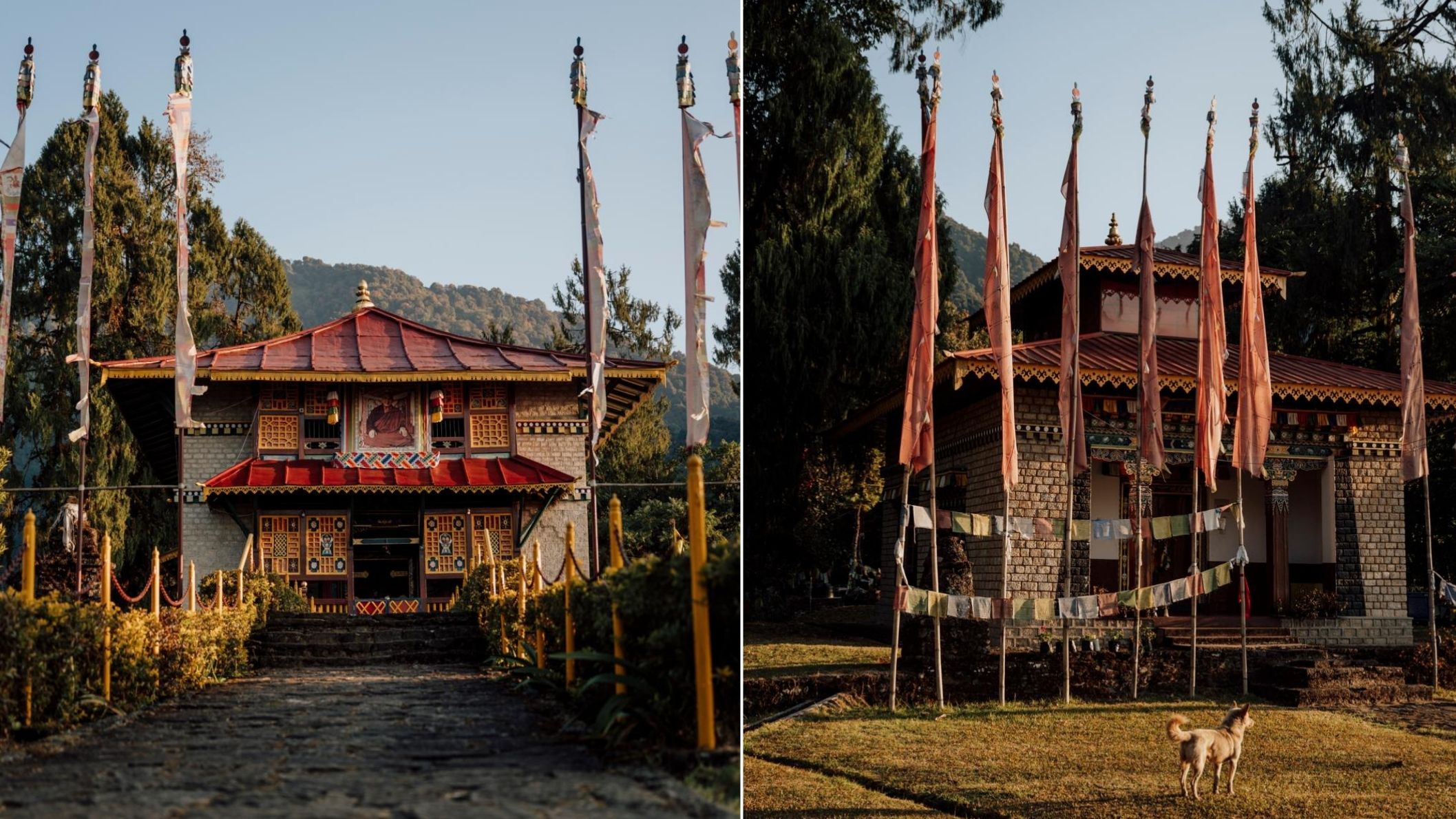 Dubdi klooster in Sikkim: links een stenen pad dat leidt naar de traditionele entree met rode daken en gebedsvlaggen, rechts het klooster in het zonlicht met lange vlaggenmasten en een hond op de voorgrond.