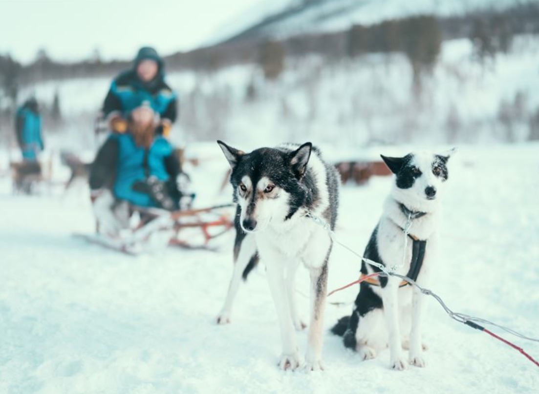 Met de juiste balans tussen beleving en haalbare afstanden ontdek je samen met je gezin de mooiste plekken ter wereld. Wat dacht je bijvoorbeeld van een sprookjesachtige huskytocht door het besneeuwde landschap van Lapland, of een spannende zoektocht naar Noorse trollen?