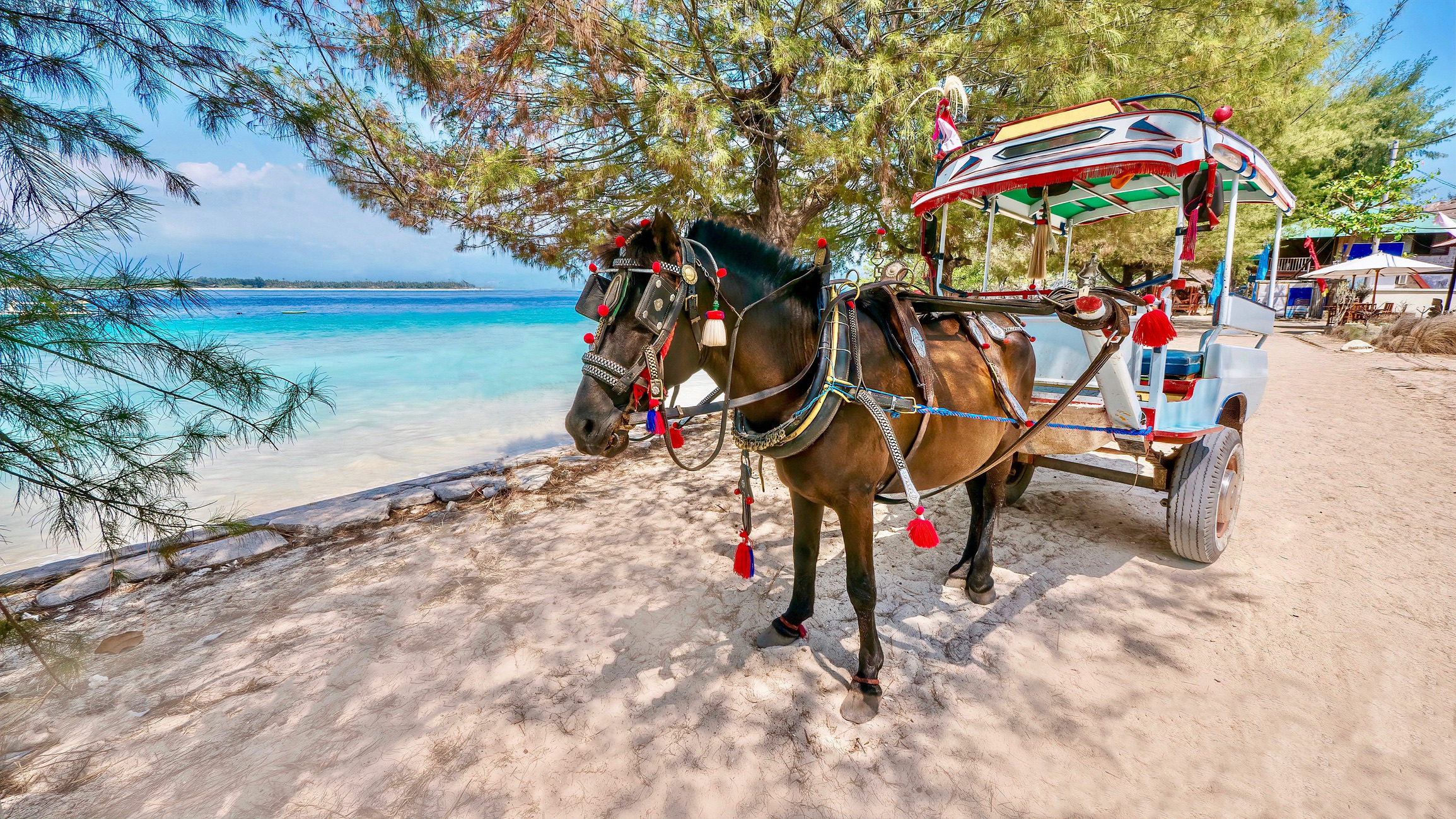 Op de Gili-eilanden (Gili Trawangan, Gili Meno en Gili Air) voor de kust van het Indonesische eiland Lombok ontbreekt elk motorgeluid. Er zijn geen auto's of scooters toegestaan. Vervoer vindt uitsluitend plaats te voet, per fiets of met cidomo's (kleine traditionele paardenkarren). 