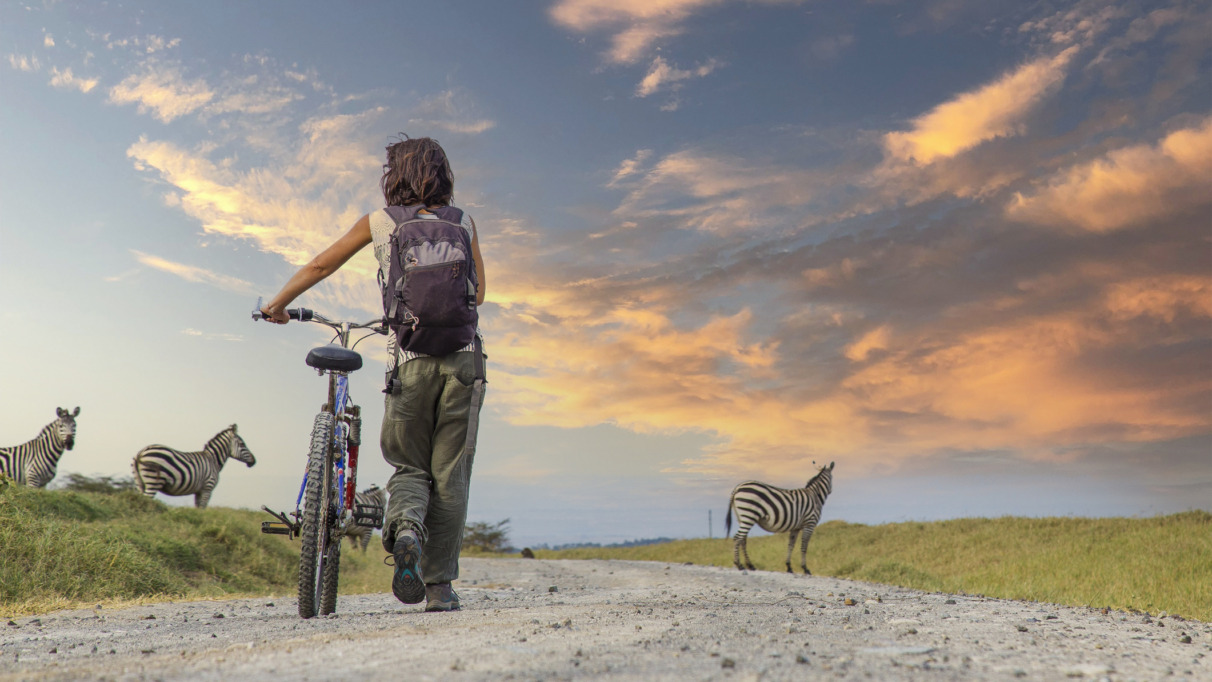 Een meisje op de fiets naast zebra's in Naivasha in Hells Gate Park bij zonsondergang, Kenia