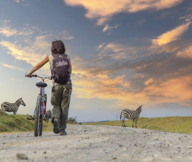 Een meisje op de fiets naast zebra's in Naivasha in Hells Gate Park bij zonsondergang, Kenia