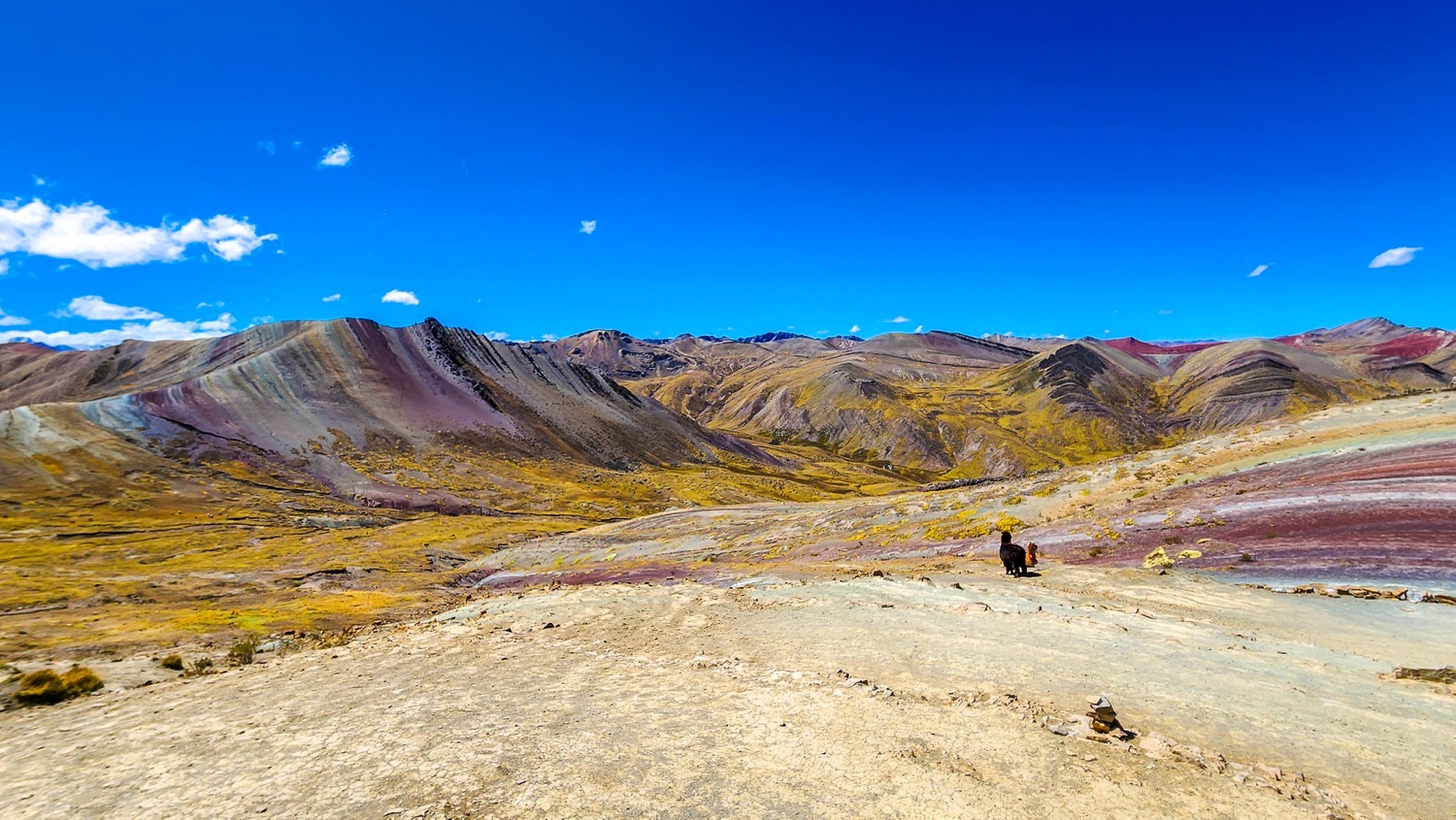 Zoek je de magie van de Peruaanse regenboogbergen, maar vermijd je liever de enorme drukte bij Vinicunca? Palccoyo is het rustigere en toegankelijkere alternatief. Hier kijk je niet naar één piek, maar uit over een hele vallei met drie kleurrijke bergen én een bizar stenen bos (bosque de piedras).