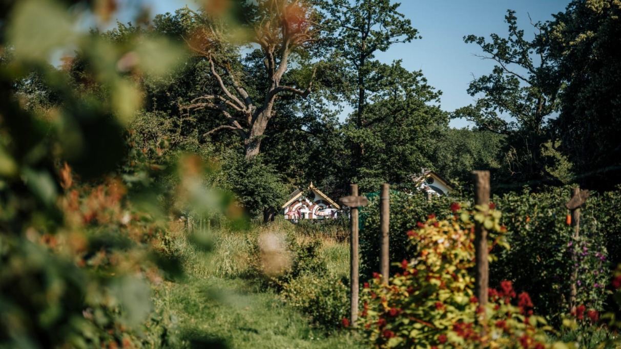 Een verscholen theehuisje of landhuis met een sierlijk dak, omringd door weelderig groen, bomen en een kleurrijke tuin op een zonnige dag.