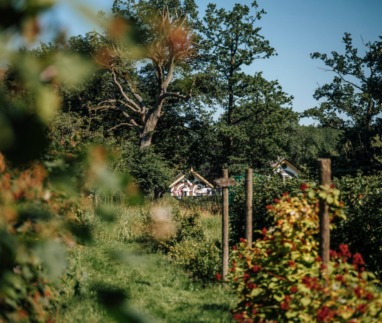 Een verscholen theehuisje of landhuis met een sierlijk dak, omringd door weelderig groen, bomen en een kleurrijke tuin op een zonnige dag.
