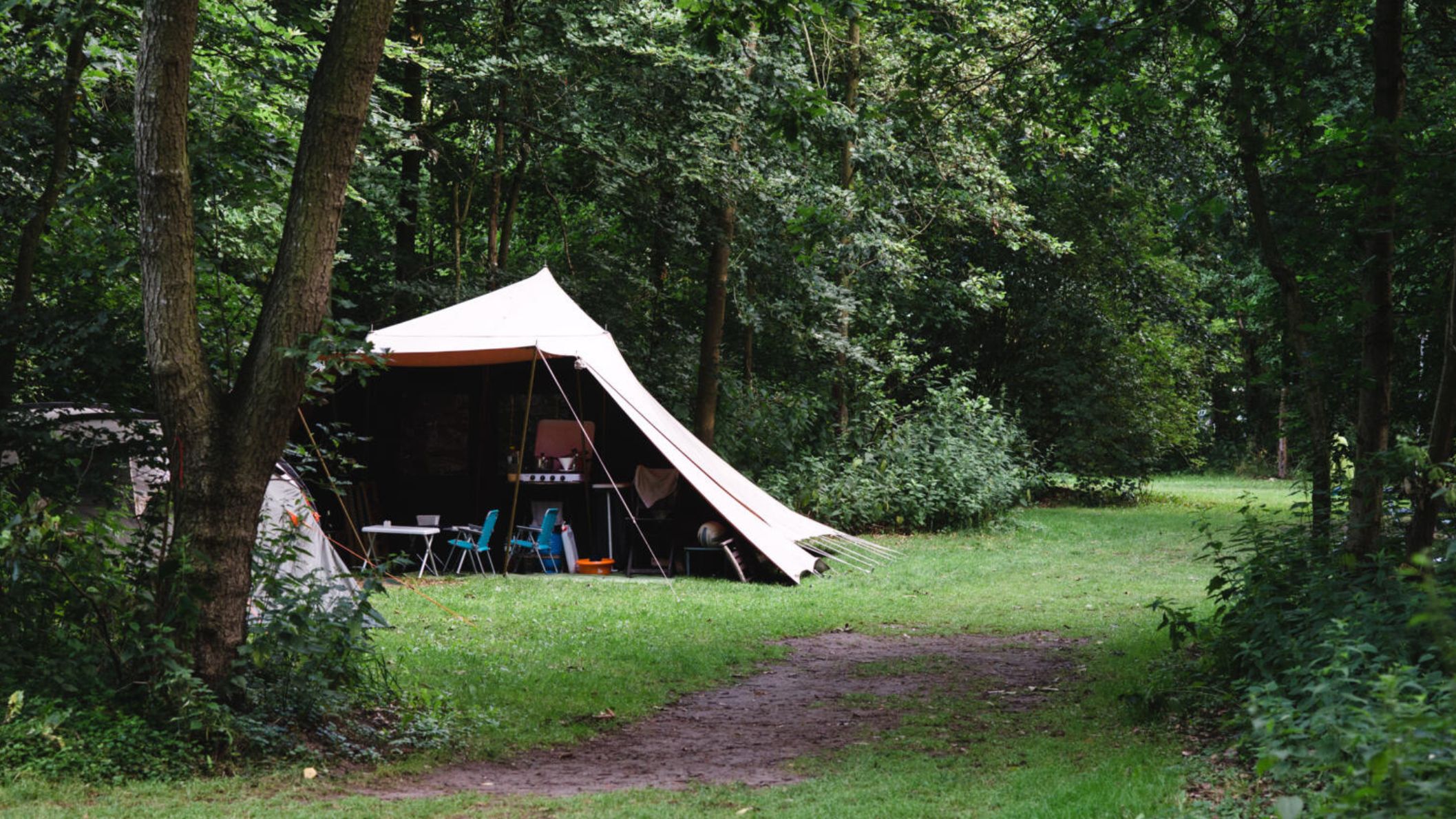 Een witte de Waard tent staat opgesteld op een beschutte kampeerplek midden in de bossen op Natuurkampeerterrein De Veenkuil in Brabant.