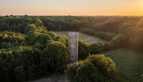 Een moderne uitkijktoren reikt hoog boven de boomtoppen uit in een groen bosgebied tijdens de zonsondergang.