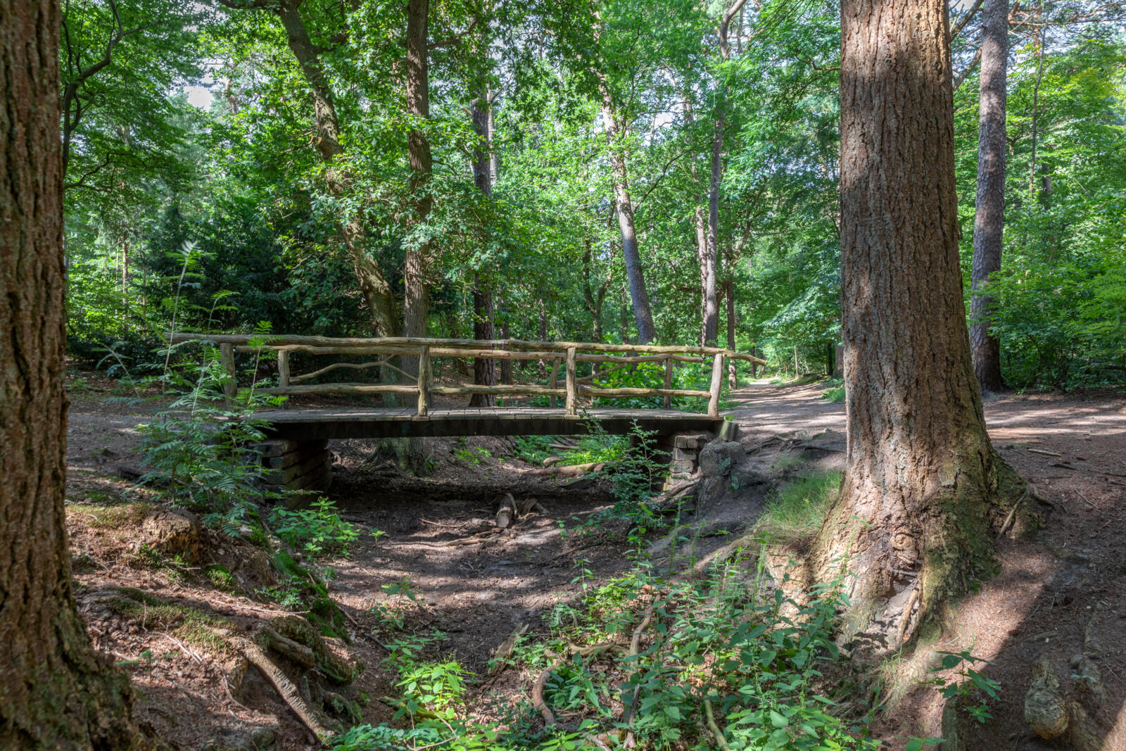 Een rustiek houten bruggetje met een natuurlijke leuning over een droge beekbedding in een groen bos.