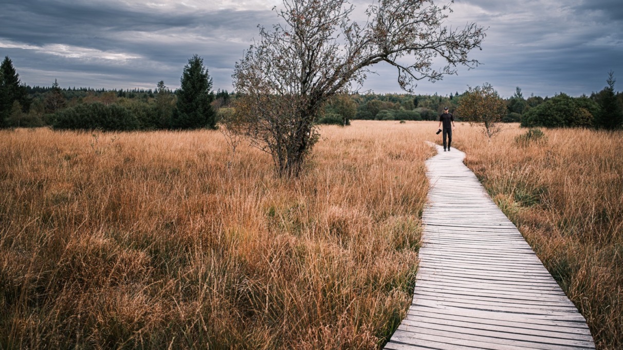 Fotograaf wandelt over vlonders in De Hoge Venen, Wallonië, België