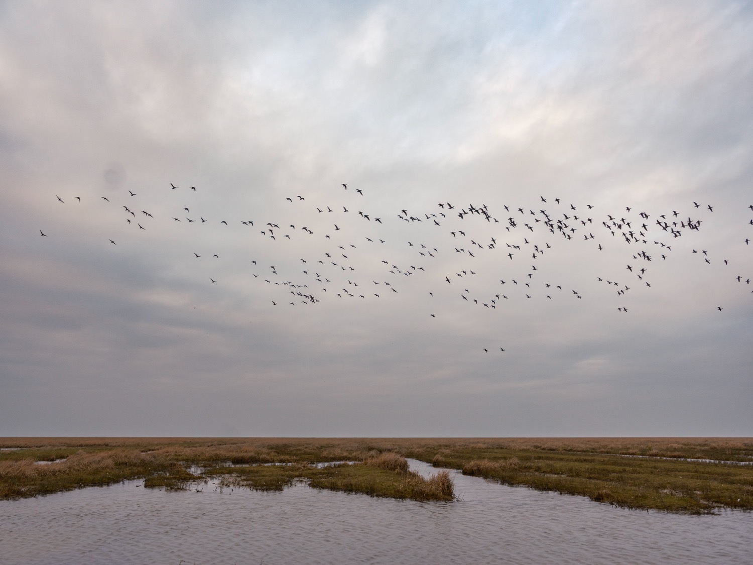 n Waddenland krijg je letterlijk de ruimte om de kop leeg te maken en om op te laden. Of dat voor jou nu ontspannen met yoga is, een eeuwenoude kerk binnenstappen of gewoon een stevige wandeling maken: hier vertraagt de tijd vanzelf.
